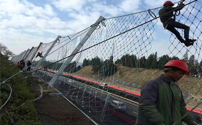 菱形被動(dòng)防護(hù)網(wǎng)工程案例